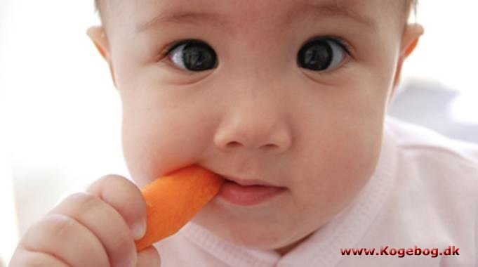 Billedresultat for childfood