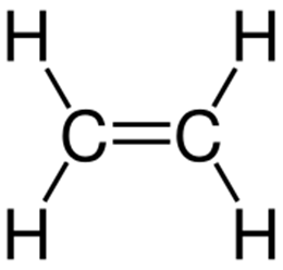 ethylen - info