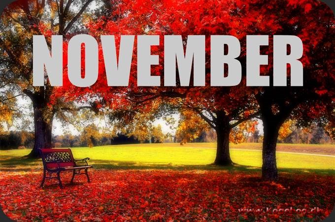 November måneds sæson