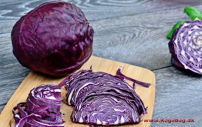 Rødkål - Brassica oleracea convar. capitata var. rubra