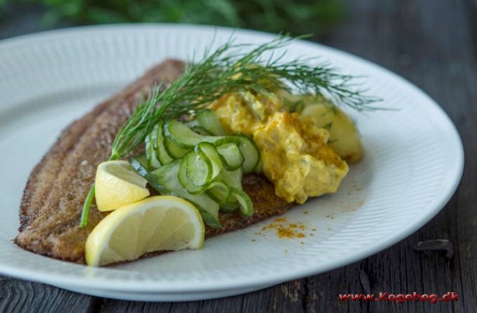 Rødspætte med kartofler, karryremoulade og agurkesalat