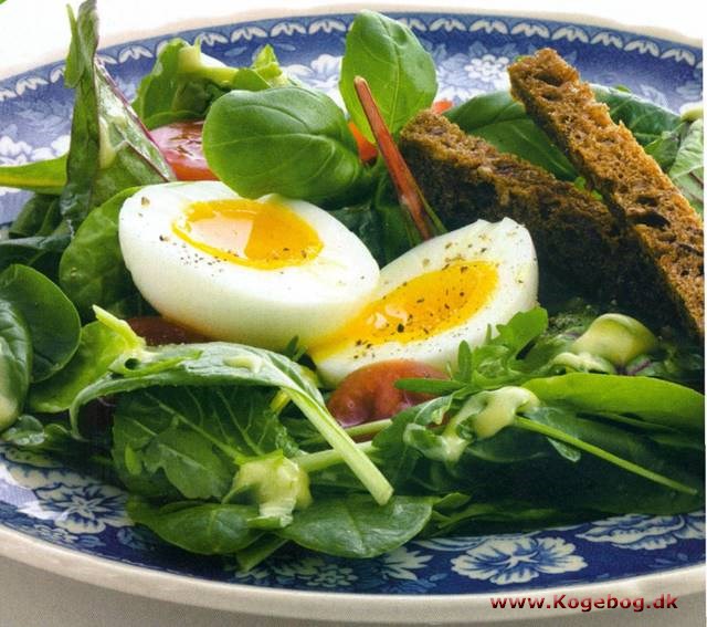 Salat med æg og rugbrød