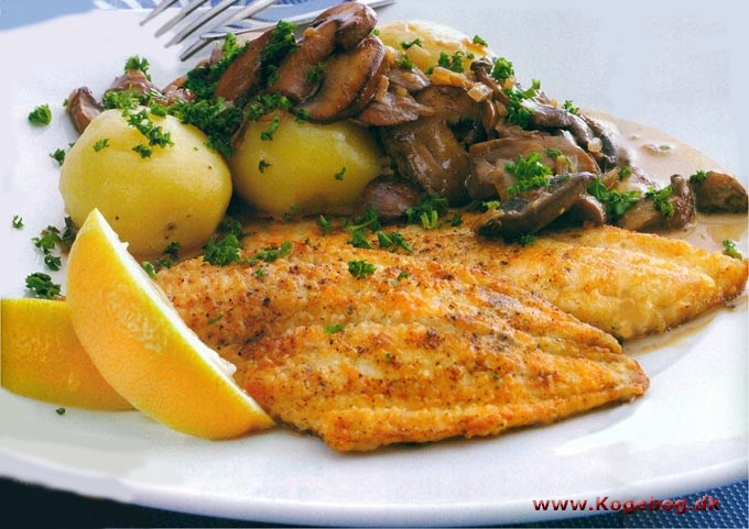 Stegt rødspættefilet med champignonsauce - opskrift
