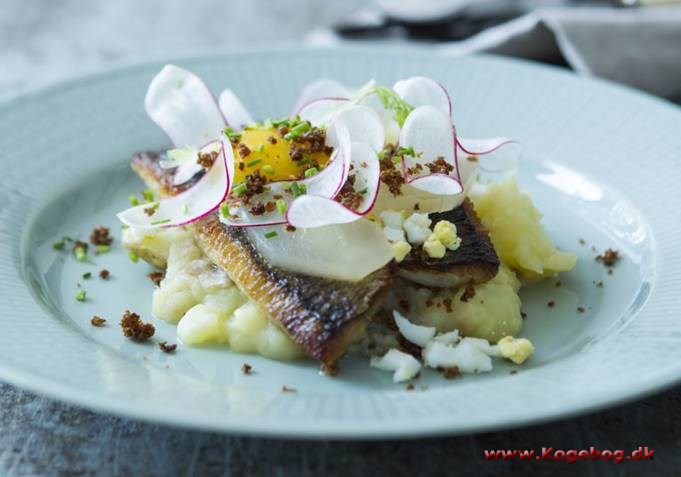 Stegte sild med kartoffelkompot