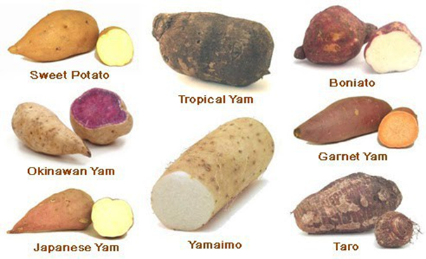 Yams - info