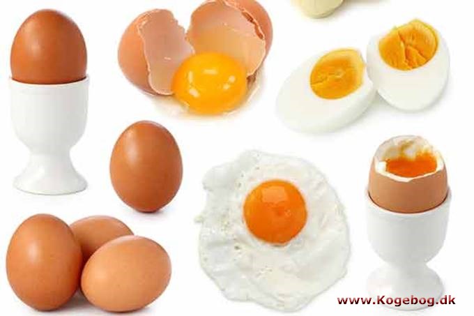 Æg - hønseæg - info