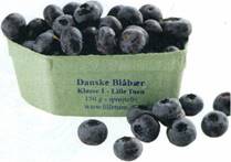 Blåbærmuffins med flødeostetopping