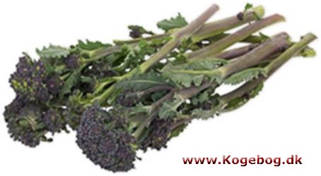 Broccolini - info