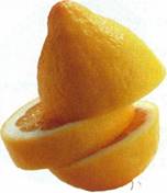Citronsorbet med sprøde kager