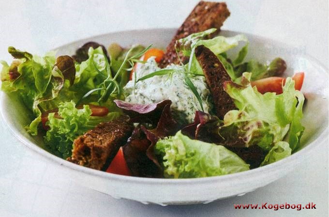 Salat med frisk krydderurteost