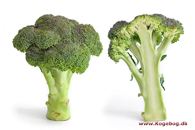 Broccoli - info
