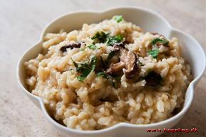 Risotto med svampe