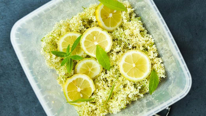 Hyldeblomstsirup med citrus