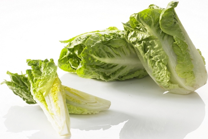 Romaine salat - Cos-salat