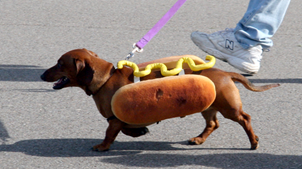 Hot dogs