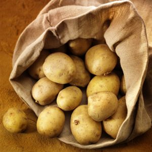 Kartoffel - Solanum tuberosum