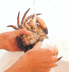 Krabber naturel