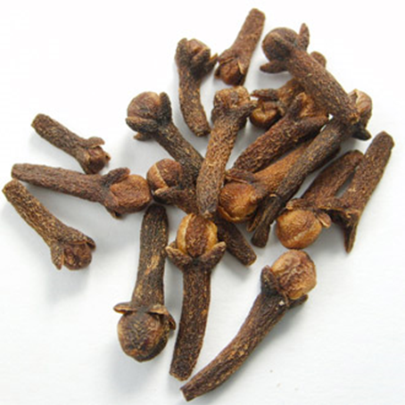Kryddernellike - Eugenia caryophyllata