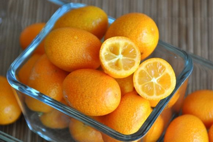 Kumquat - Citrus fortunella