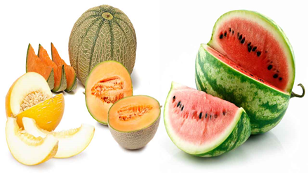 Melon