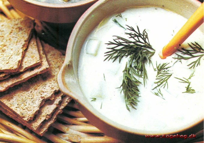 Agurkesuppe med yoghurt og dild