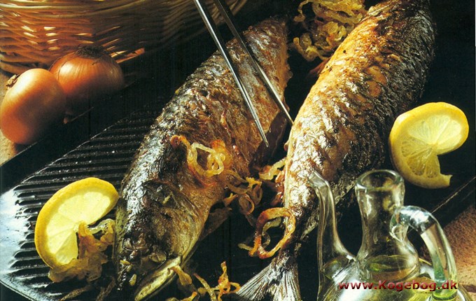 Helstegt makrel på grill