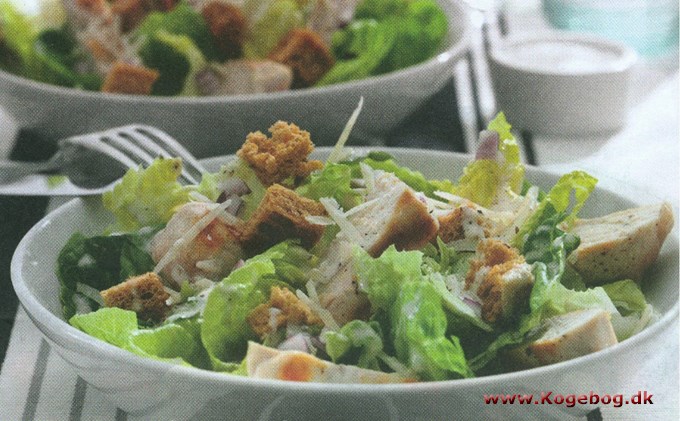 Cæsarsalat med kylling og croutoner