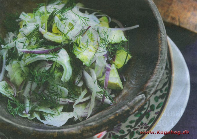 Fennikelsalat med avocado og dild