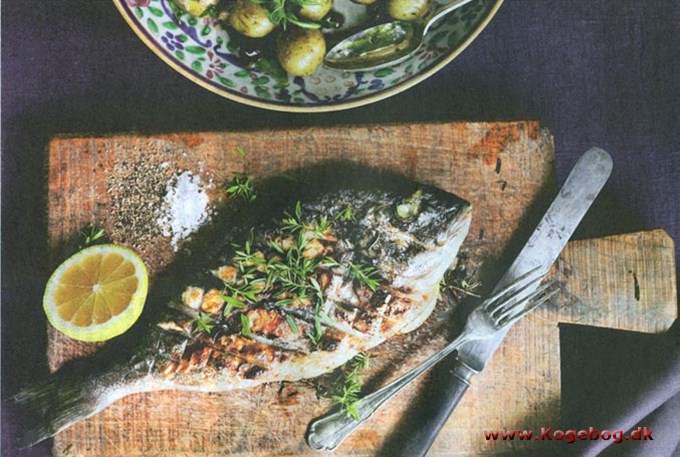 Grillstegt dorade