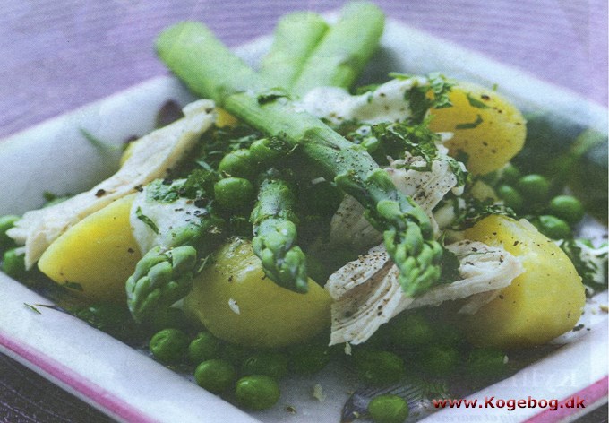 Kartoffelsalat med kylling og myntedressing