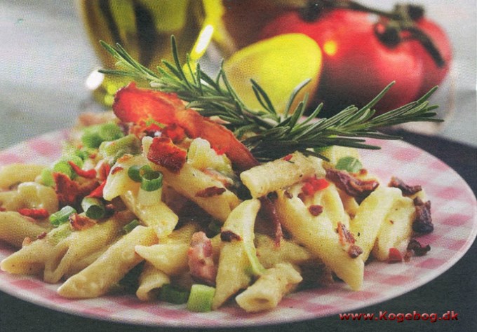 Kulsvierkonens pasta