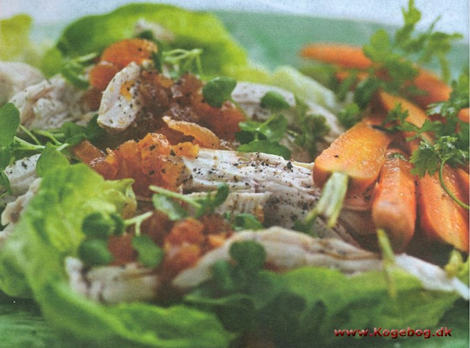 Salat med kylling og abrikosvinaigrette
