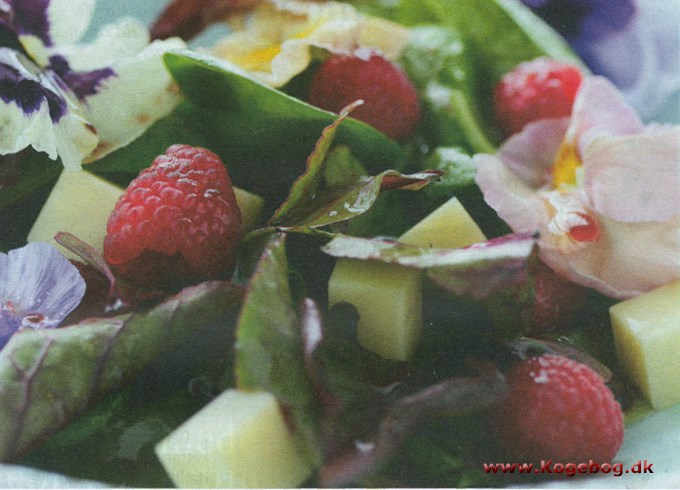 Spæd salat med ost, hindbær og stedmoderblomster