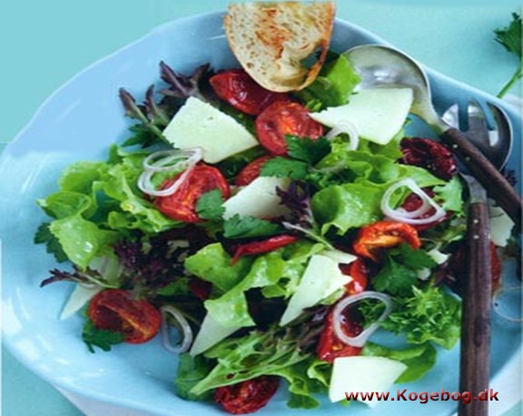 Stor grøn salat med bagte tomater og pecorino