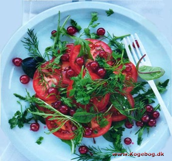 Tomatsalat med ribs og krydderurter