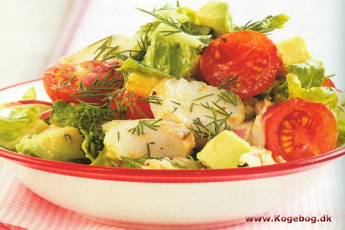 Avocadosalat med rødfiskefilet