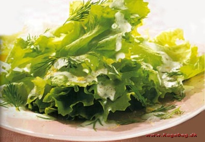Salat med sursød dildsauce