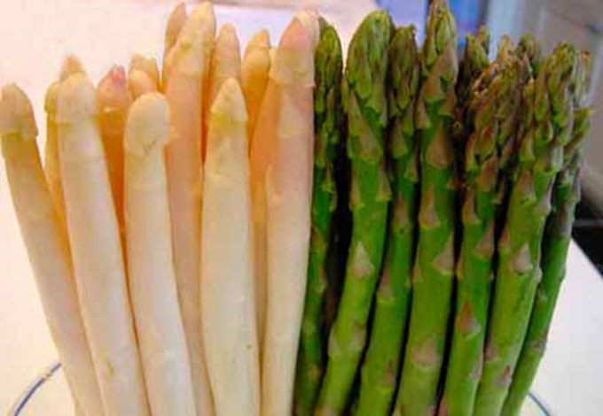 Asparges – Asparagus