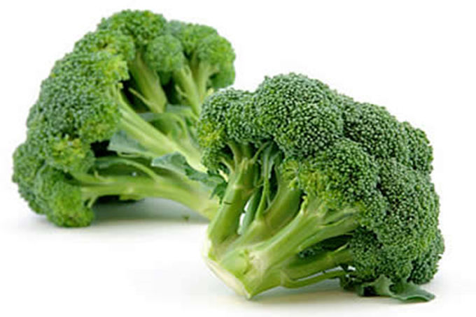 Broccoli | let og godt på Kogebog.dk 💘