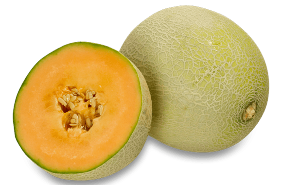 Netmelon