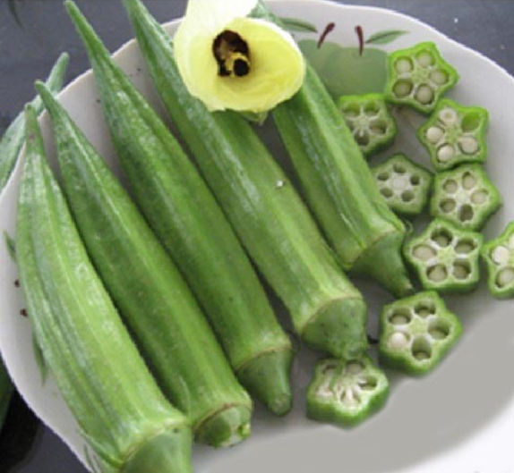 Okra - Hibiscus esculentus