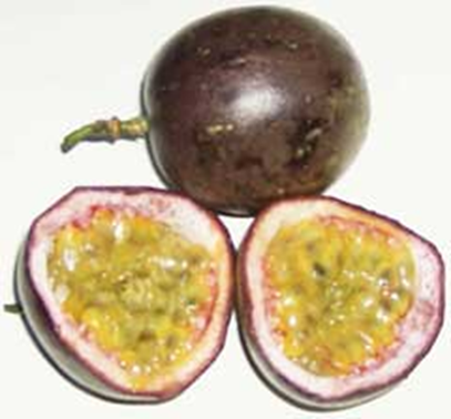 Passionsfrugt - Passiflora