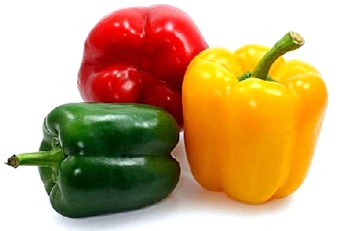 Peberfrugt, sød peber og spansk peber - Capsicum annuum