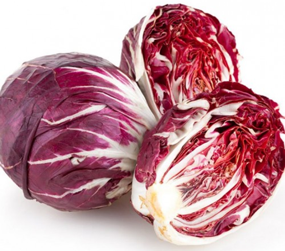 Radicchio - Cicorium intybus