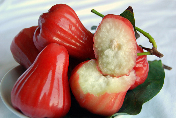 Rose apple