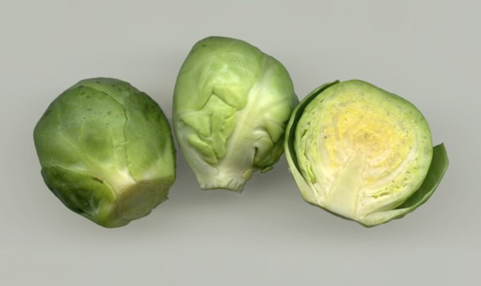 Rosenkål - Brassica oleracea gemmifera