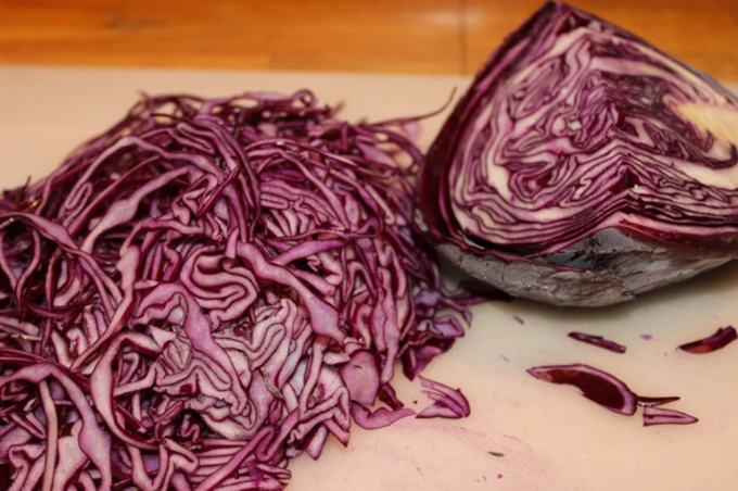 Rødkål - Brassica oleracea convar. capitata var. rubra