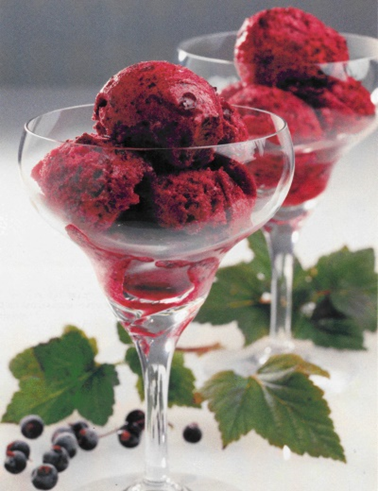 Solbærsorbet