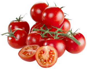 Tomat - Lycopersicum esculentum