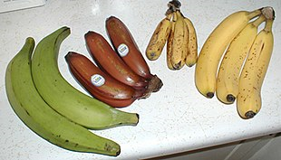 Banan